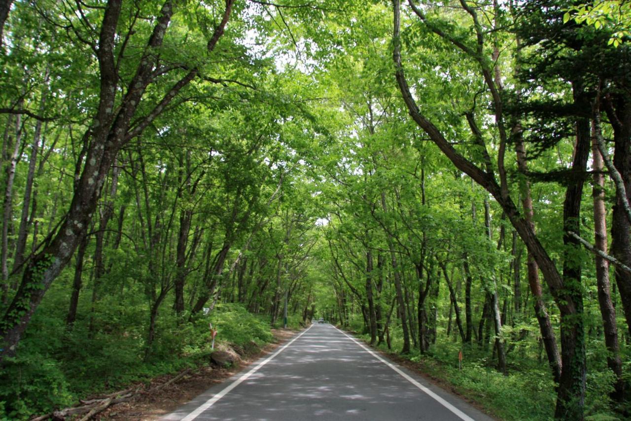 Twin-Line Hotel Karuizawa Japan Екстериор снимка